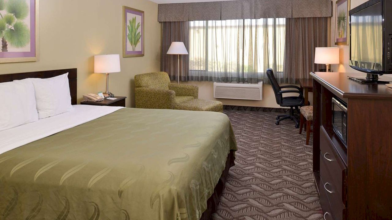 A hotel room with a double bed, armchair, desk, TV, and window with sheer curtains. The walls are adorned with framed plant art.